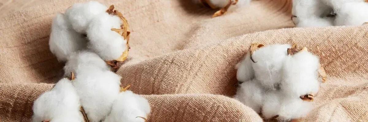 Кухонный текстиль своими руками: шьем фартуки, прихватки и скатерти для уюта