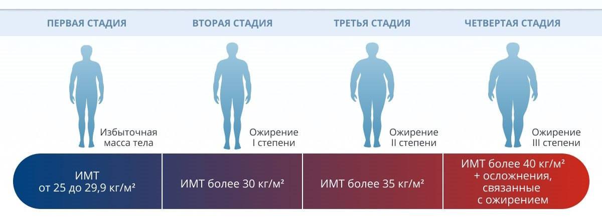 С каким весом не берут в армию: когда ожирение становится основанием для отсрочки