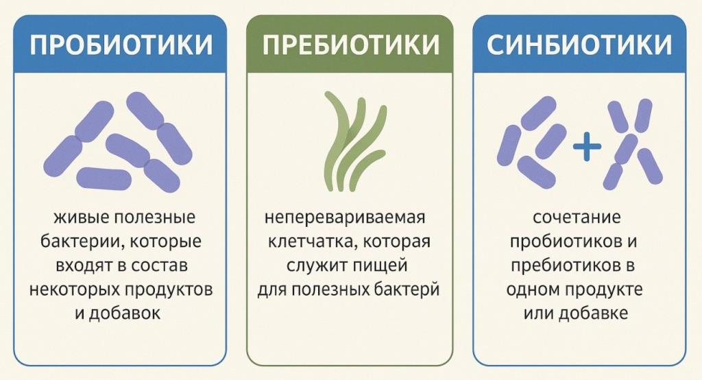 Пробиотики, микробиом и восстановление кишечника: от науки к практике